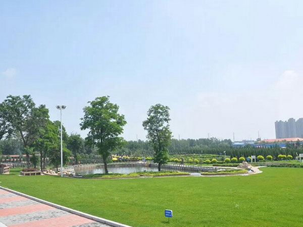 抚顺卧龙山公墓环境